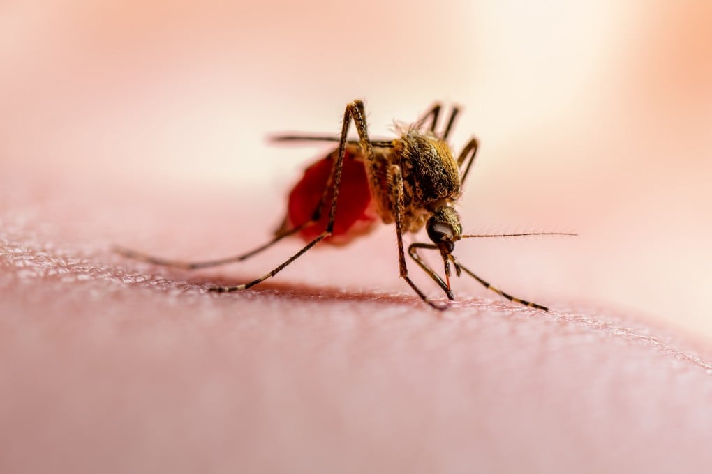 A Chinese team has created an enhanced gene-editing system using components from dengue fever and tobacco mosaic viruses. Photo: Shutterstock