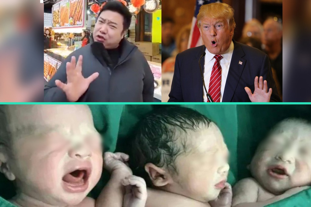 The Post runs the rule over some of the unusual stories to come out of China in recent days. Photo: SCMP composite/Shutterstock/Douyin