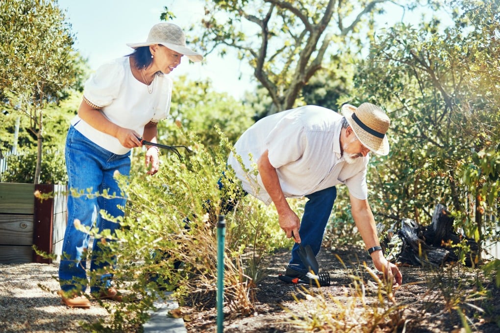 When it comes to heart health, lifestyle factors play a much bigger role than your genes, so eat right, sleep well and stay active. Photo: Shutterstock