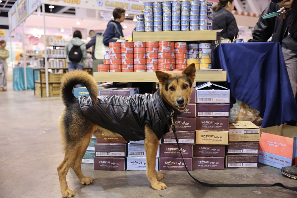 A dog at the Hong Kong Pet Show at the Convention and Exhibition Centre in Wan Chai on February 7. Photo: Nora Tam