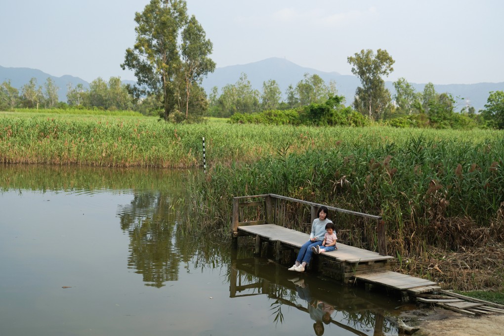 Nam Sang Wai in Yuen Long. The area is considered ecologically important and serves as a stopover for migratory birds. Photo: Sam Tsang