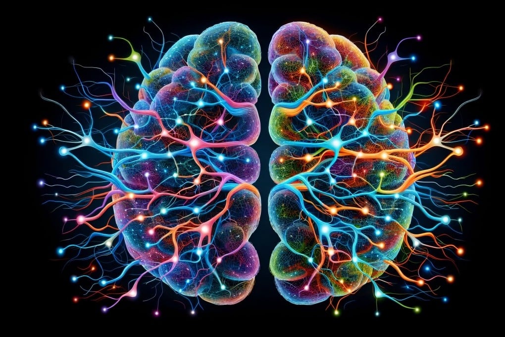 Mengungkap Tiga Jalan Informasi Utama di Otak Manusia untuk Pahami Gangguan Otak