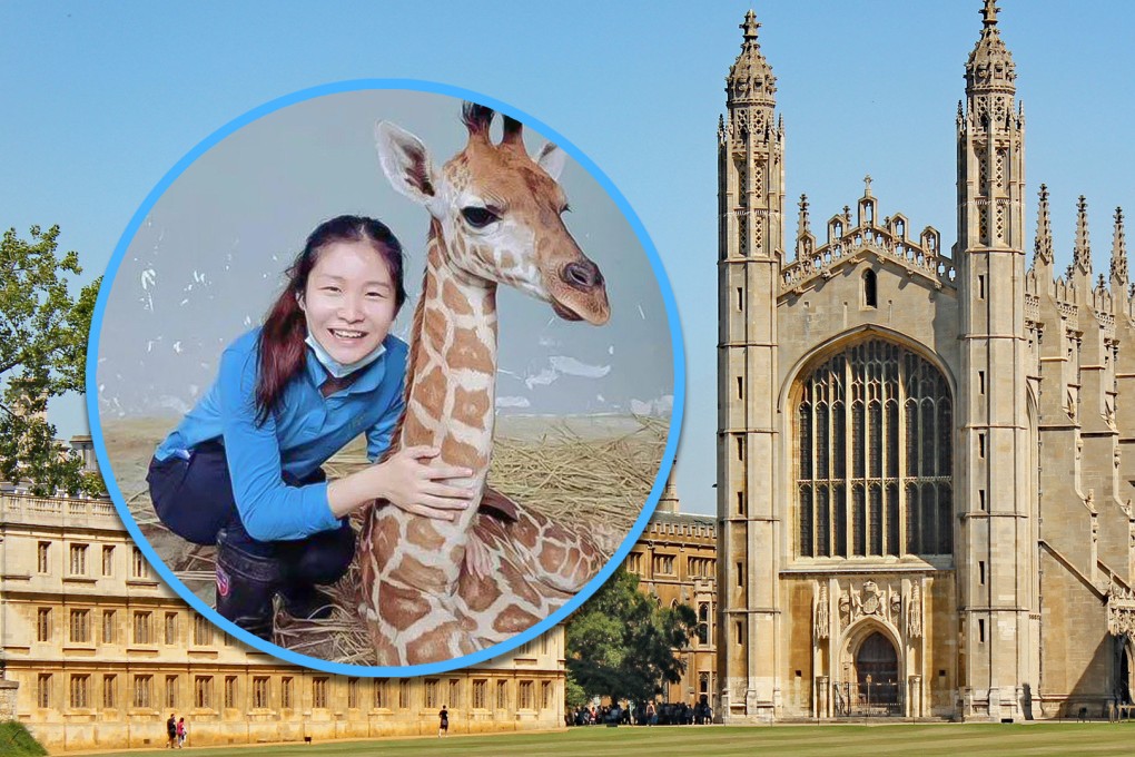A woman from China, who holds a degree from Cambridge, turns down a position in biotechnology to pursue a career as a zookeeper in Shanghai. 
Photo: SCMP composite/Shutterstock/The Paper