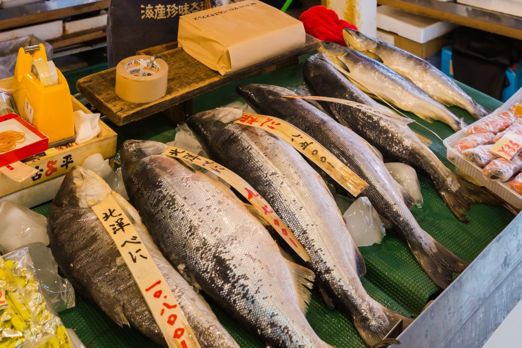 The population of Japan’s chum salmon (above) is threatened by climate change and increased competition from pink salmon. Photo: Shutterstock