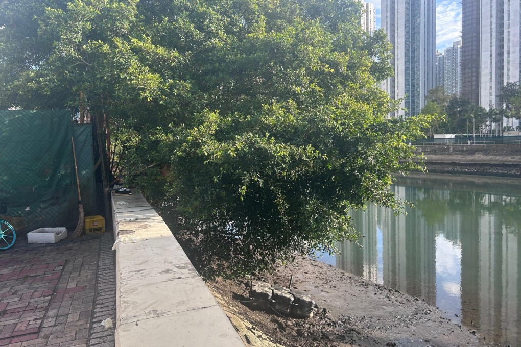 The man was spotted in the Shing Mun River in Sha Tin. Photo: Handout