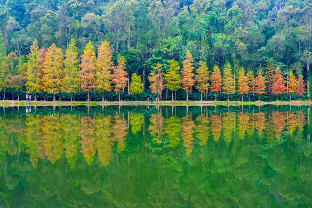 Hikers visit Lau Shui Heung reservoir at Sha Tau Kok on December 26, 2024. Photo: Sam Tsang