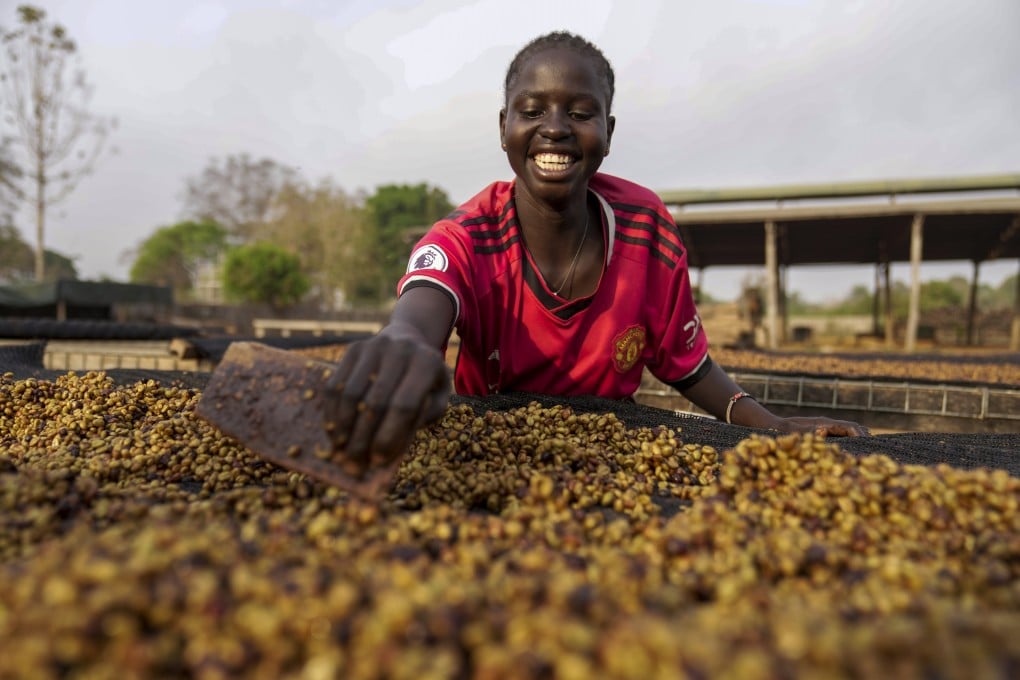 A worker turns excelsa coffee beans to dry near Nzara, South Sudan. The rare coffee variety thrives in extreme conditions where others such as arabica and robusta do not. Scaling up production could be a challenge. Photo: AP