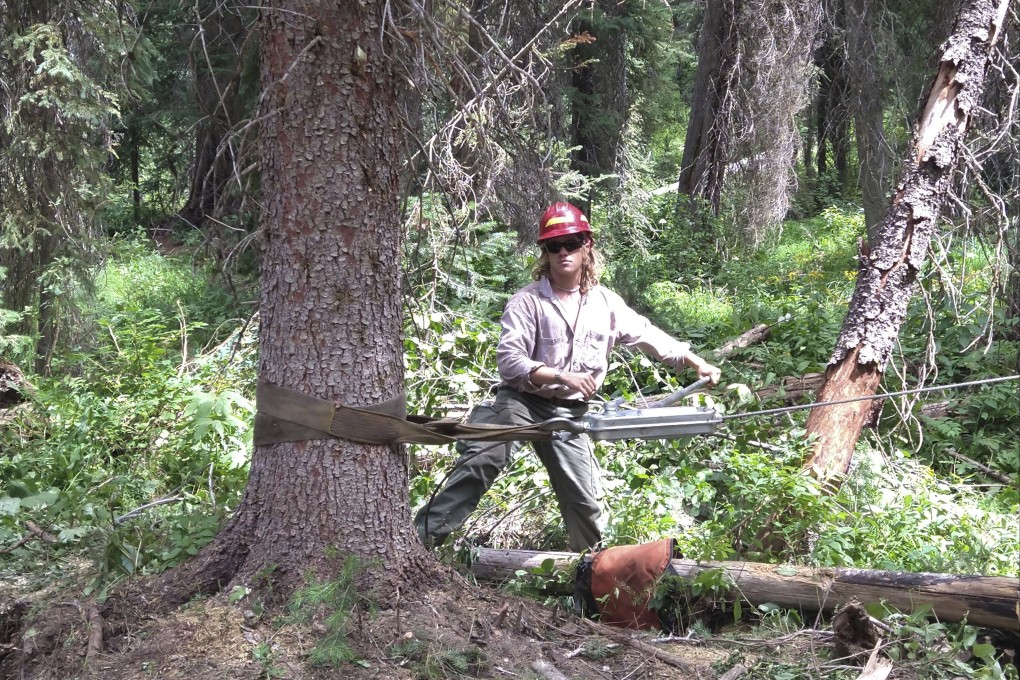 Luke Tobin works as a forestry technician in the Nez Perce National Forest in Idaho in 2022. Photo: AP