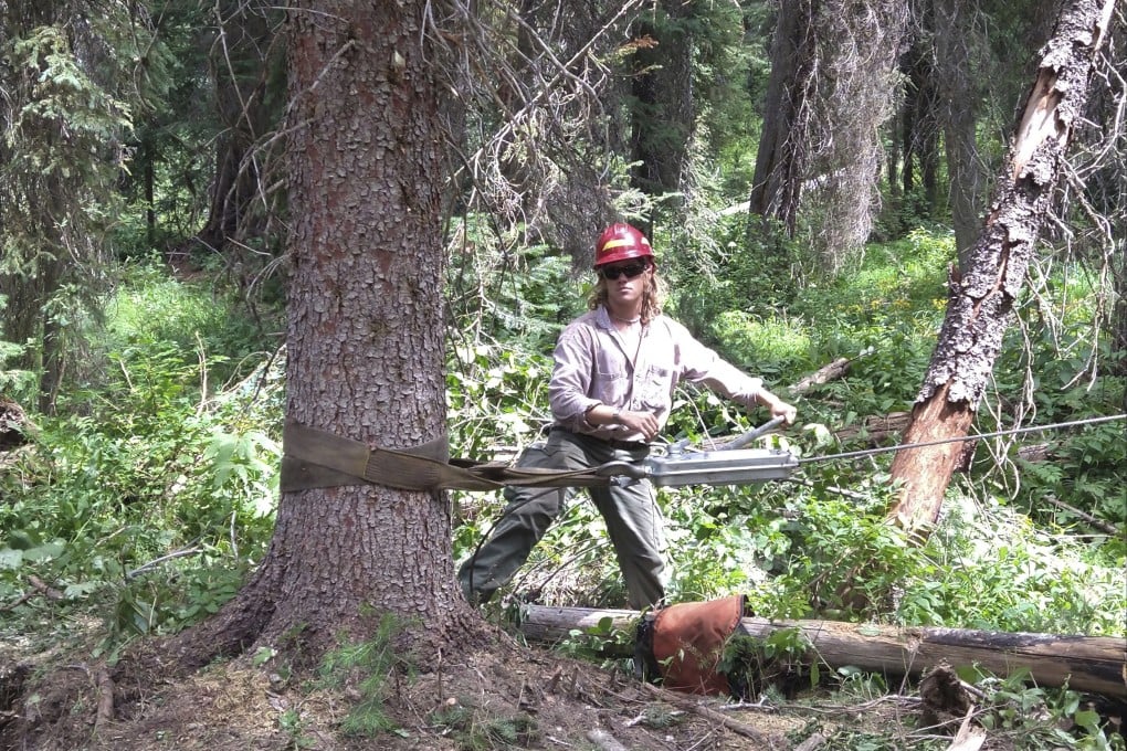 Luke Tobin works as a forestry technician in the Nez Perce National Forest in Idaho in 2022. Photo: AP