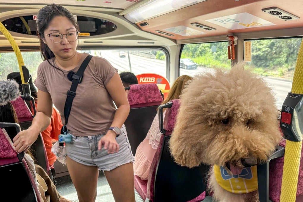 Bus operator KMB has already introduced a service on select routes for owners travelling with their pets. Photo: SCMP