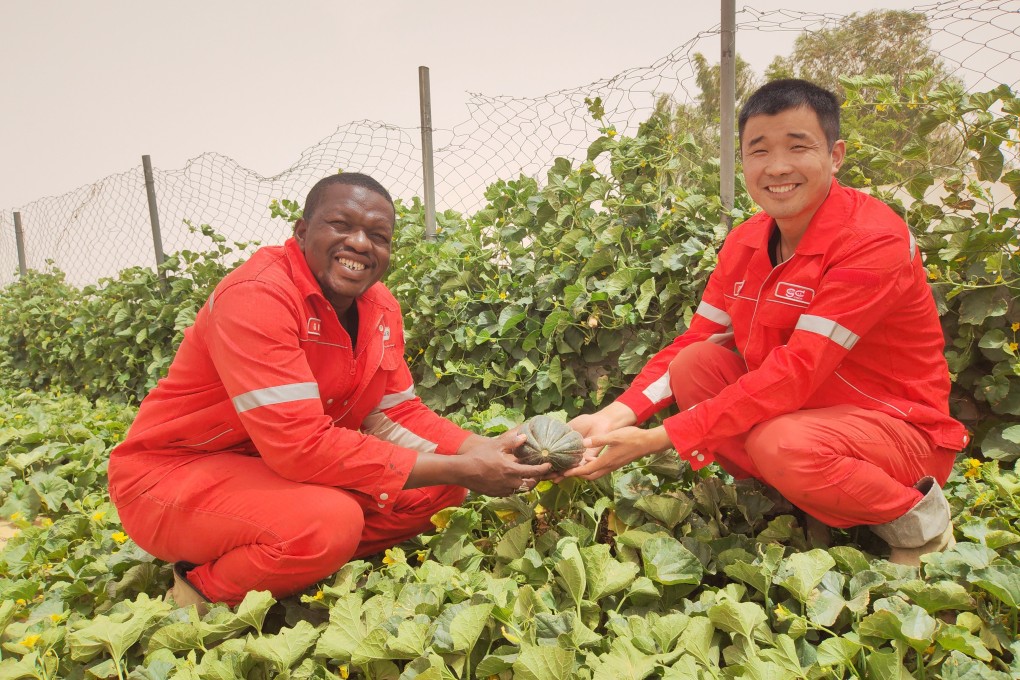 Africa’s Great Green Wall project, which features input and funding from China, is promoted in southeastern Niger. Photo: Weibo