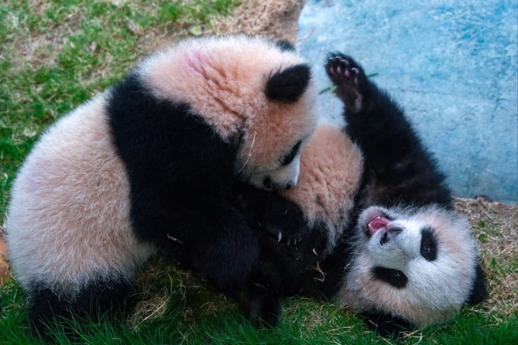 Members will have priority booking access for programmes and workshops. Photo: Eugene Lee