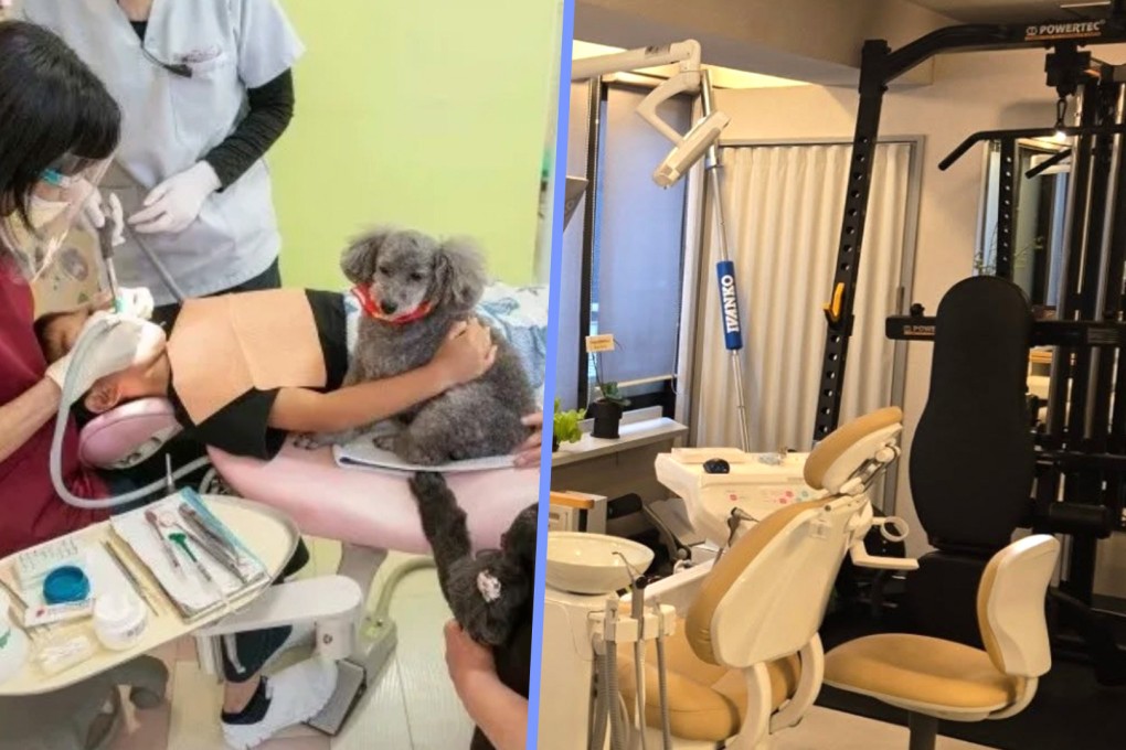 Some dental clinics in Japan are offering a dog companion service, and on-site gym facilities in a bid to boost flagging business. Photo: SCMP composite/QQ.com/IG@shibuyadental