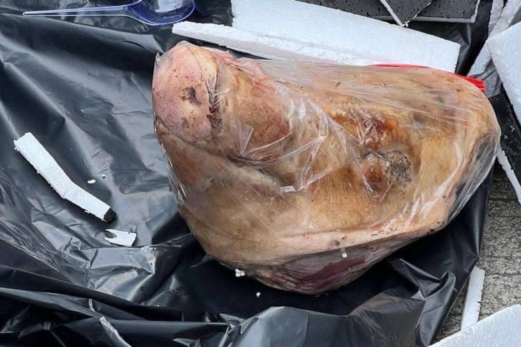 An Indonesian reporter with Tempo magazine has received a severed pig’s head in an incident condemned as a “terror attack”. Photo: Handout