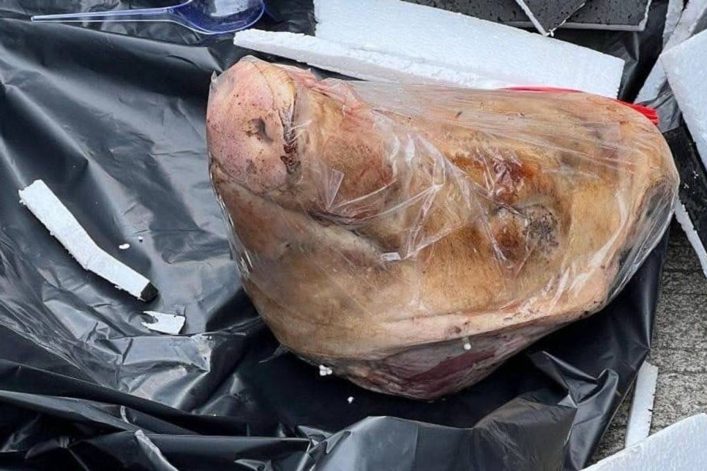 An Indonesian reporter with Tempo magazine has received a severed pig’s head in an incident condemned as a “terror attack”. Photo: Handout