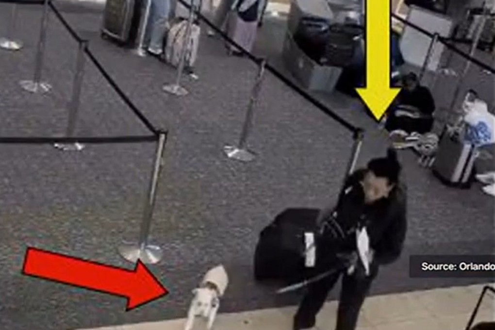 Surveillance footage shows the woman and her nine-year-old schnauzer, Tywinn, at Orlando International Airport. Photo: Orlando Police Department