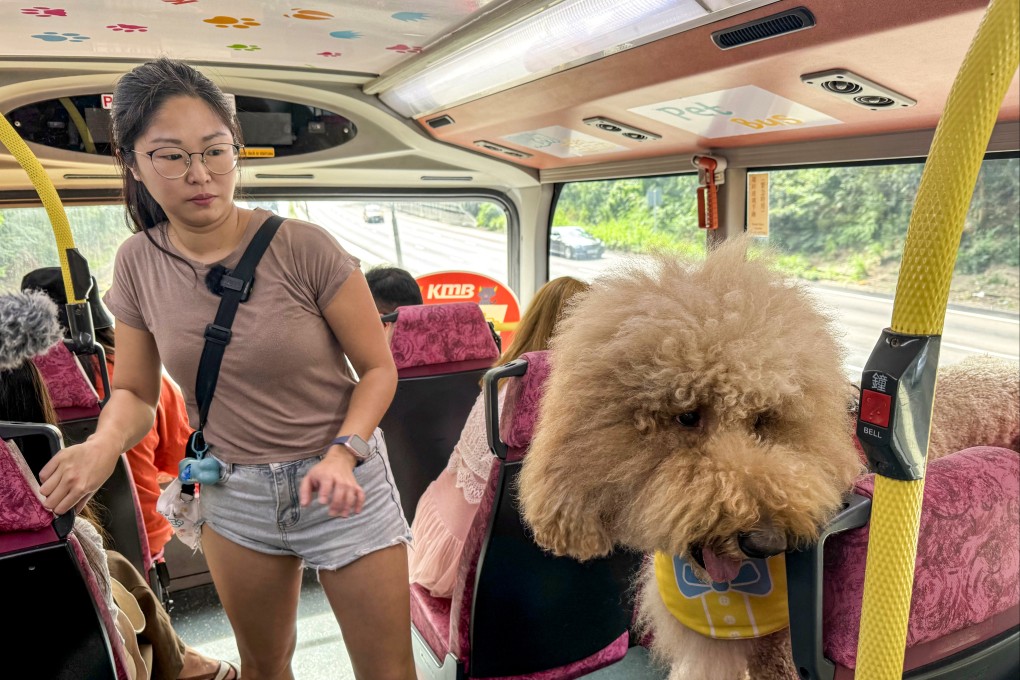 Bus operator KMB has already introduced a service on select routes for owners travelling with their pets. Photo: SCMP