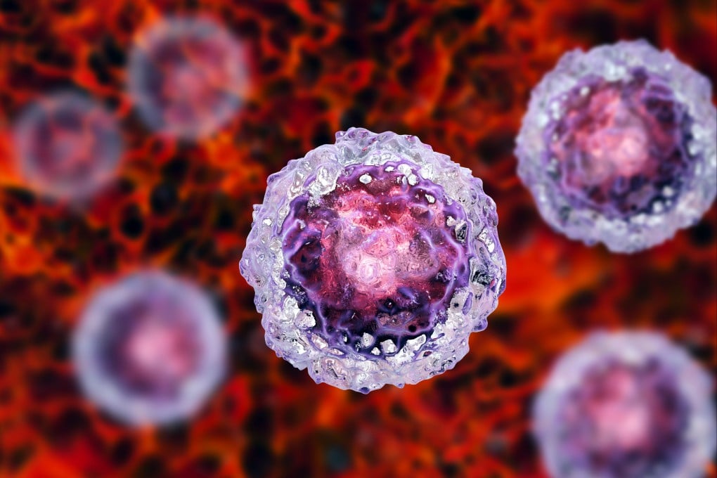 Stem cells illustrated in colour. Photo: Shutterstock