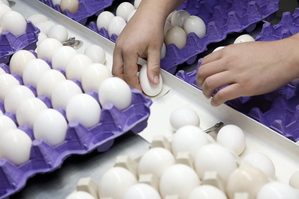 A worker sorts eggs at a poultry farm in California. The cost of eggs in the US has skyrocketed due to multiple bird flu outbreaks. Photo: EPA-EFE