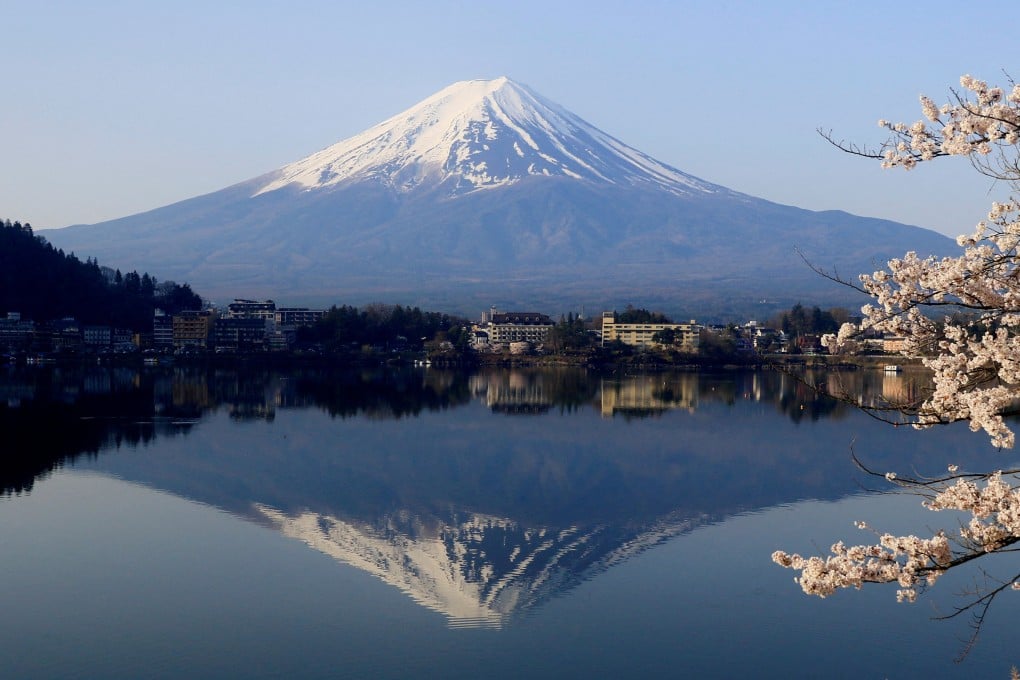 Cherry blossom trees at Lake Kawaguchiko with Mount Fuji in the background. Photo: Reuters