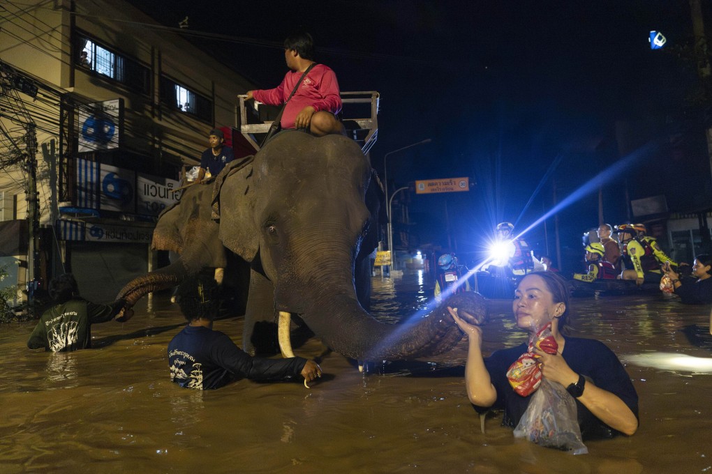 Elephants wade through flood waters to help bring relief supplies to villagers in Chiang Mai province, Thailand, on October 6, 2024. Photo: AP
