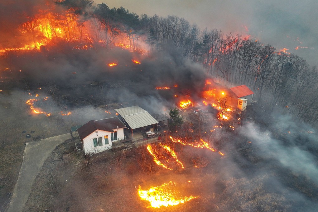 Houses burn in a South Korean village after being engulfed by a wildfire fuelled by winds. Photo: Yonhap via AP