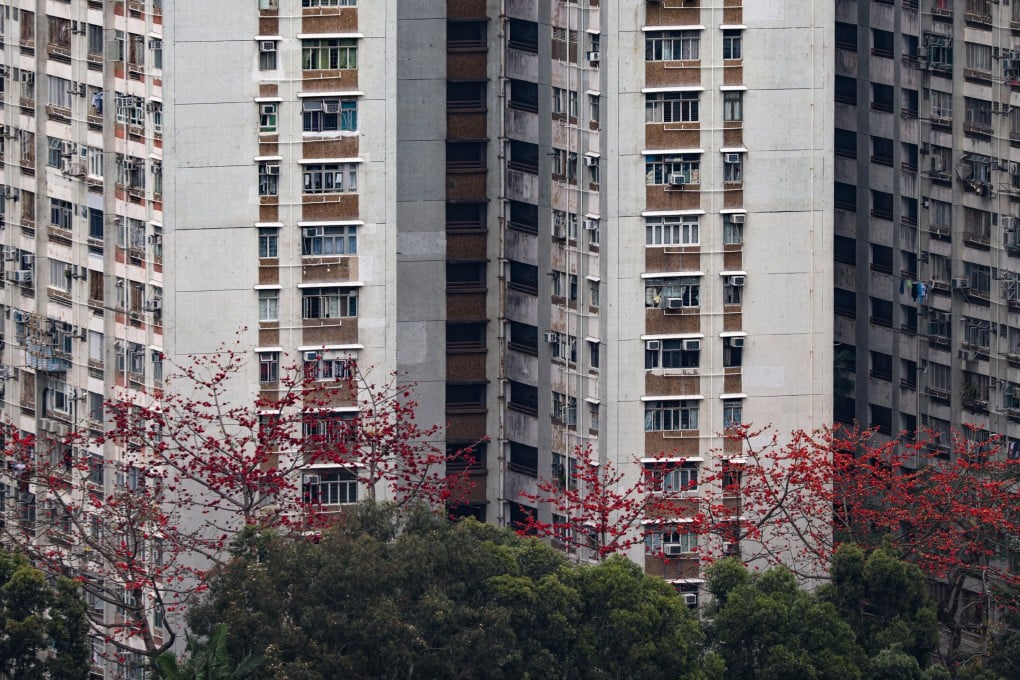Kapok trees in bloom at
Cheung Wah Estate in Fanling. Photo: Eugene Lee