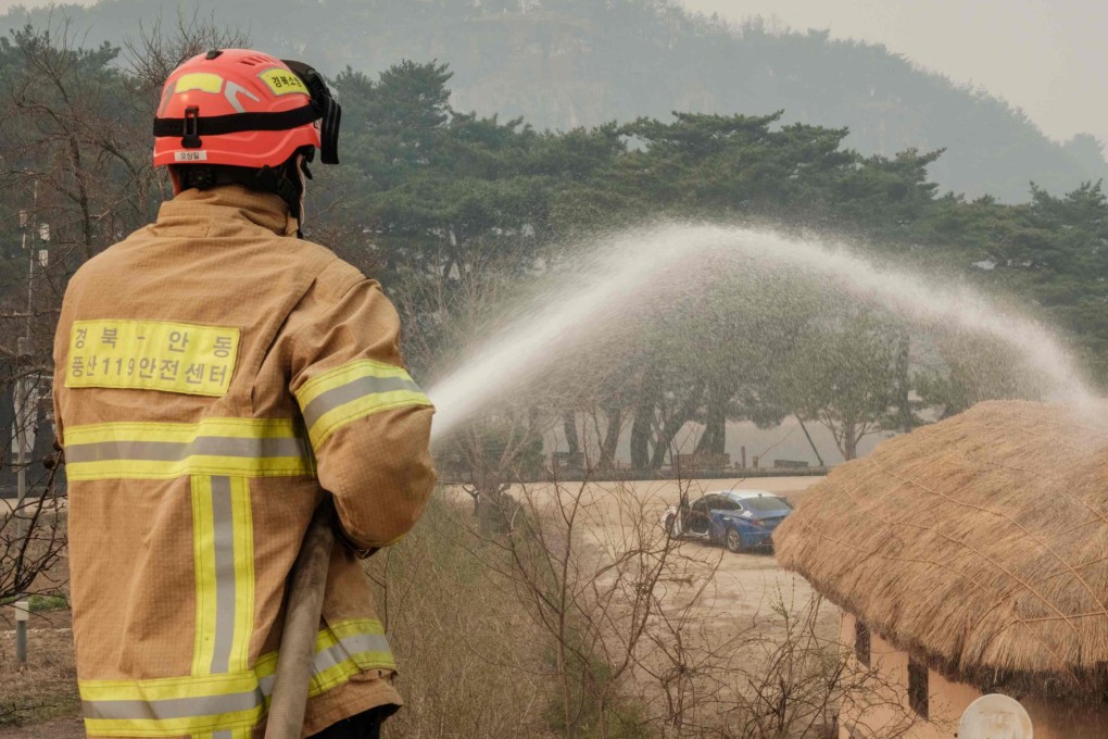 A firefighter in Andong, South Korea, sprays water on a thatched roof in preparation for an approaching wildfire on Wednesday. Photo: AFP