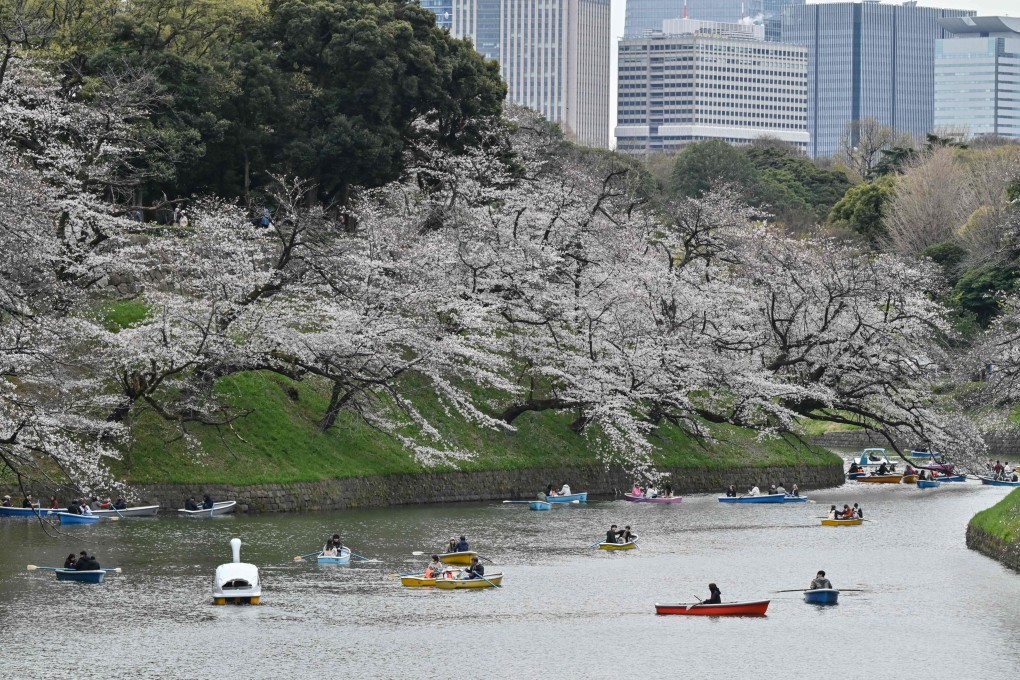 Chinese tourists are expected to take advantage of the Ching Ming Festival break to visit sites where cherry blossoms are in bloom. Photo: AFP