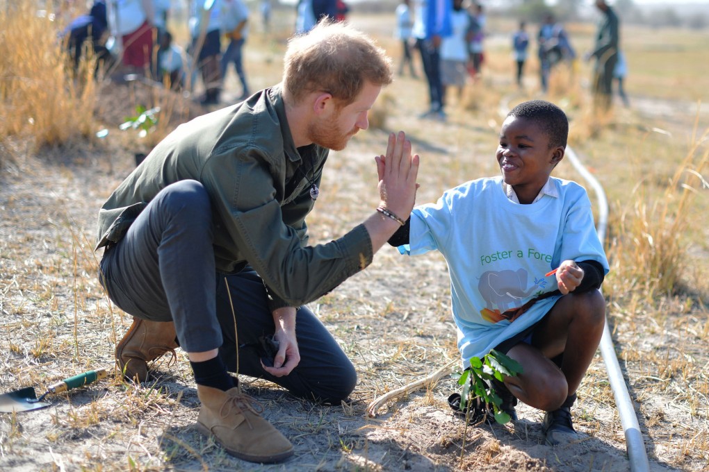 Prince Harry helps local schoolchildren plant trees in Botswana in 2019. File photo: TNS