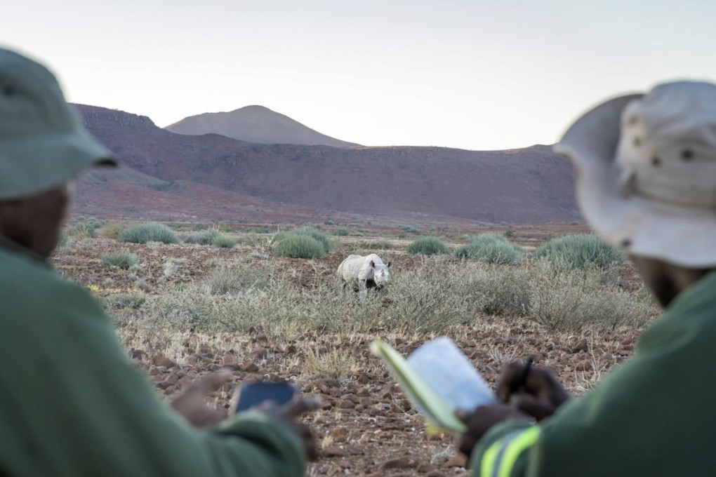 Save the Rhino Trust rangers observe a rhino in Namibia. Paying tourists can now join rangers’ patrols as a way of supporting the trust’s work. Photo: Instagram/@savetherhinonamibia