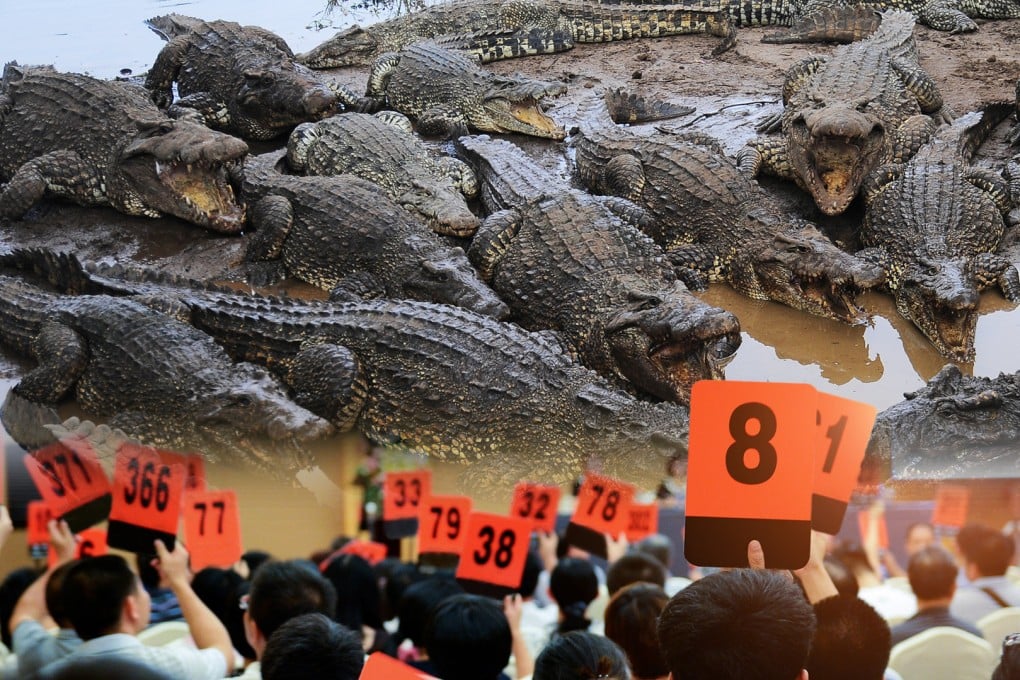 A court in China is auctioning off 100 tonnes of live crocodiles at a starting price of US$550,000, sparking much amusement online. Photo: SCMP composite/Shutterstock