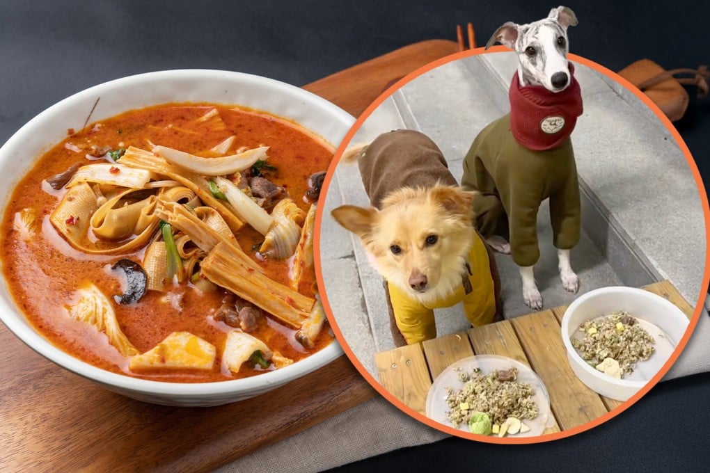 A Chinese pet restaurant has introduced a spicy hotpot designed for dogs, leading to playful remarks about how canines now enjoy meals that might surpass human dining experiences. Photo: SCMP composite/Shutterstock/RedNote
