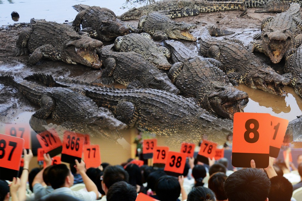 A court in China is auctioning off 100 tonnes of live crocodiles at a starting price of US$550,000, sparking much amusement online. Photo: SCMP composite/Shutterstock