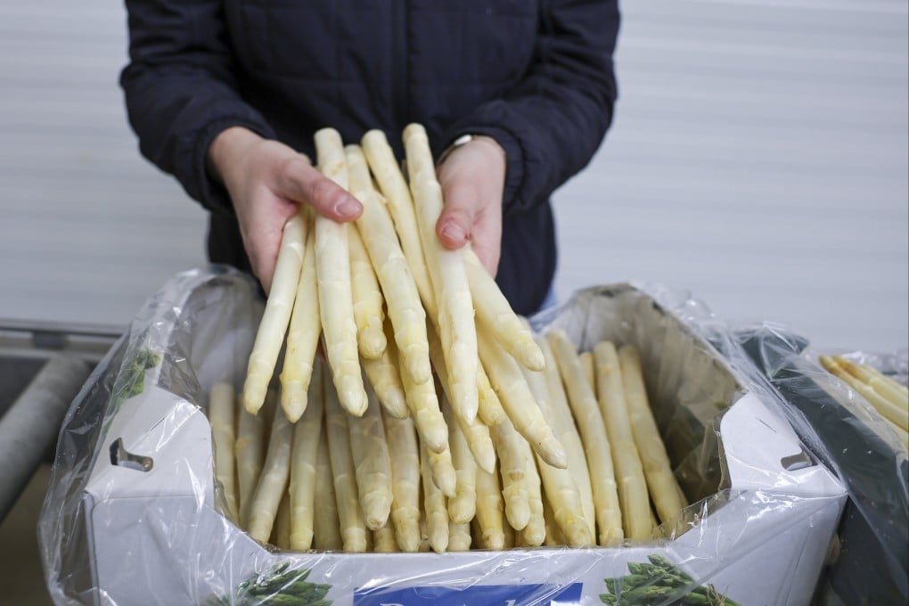 White asparagus is a spring favourite in Germany, and its delicate flavour is the result of it being grown underground. Photo: EPA-EFE