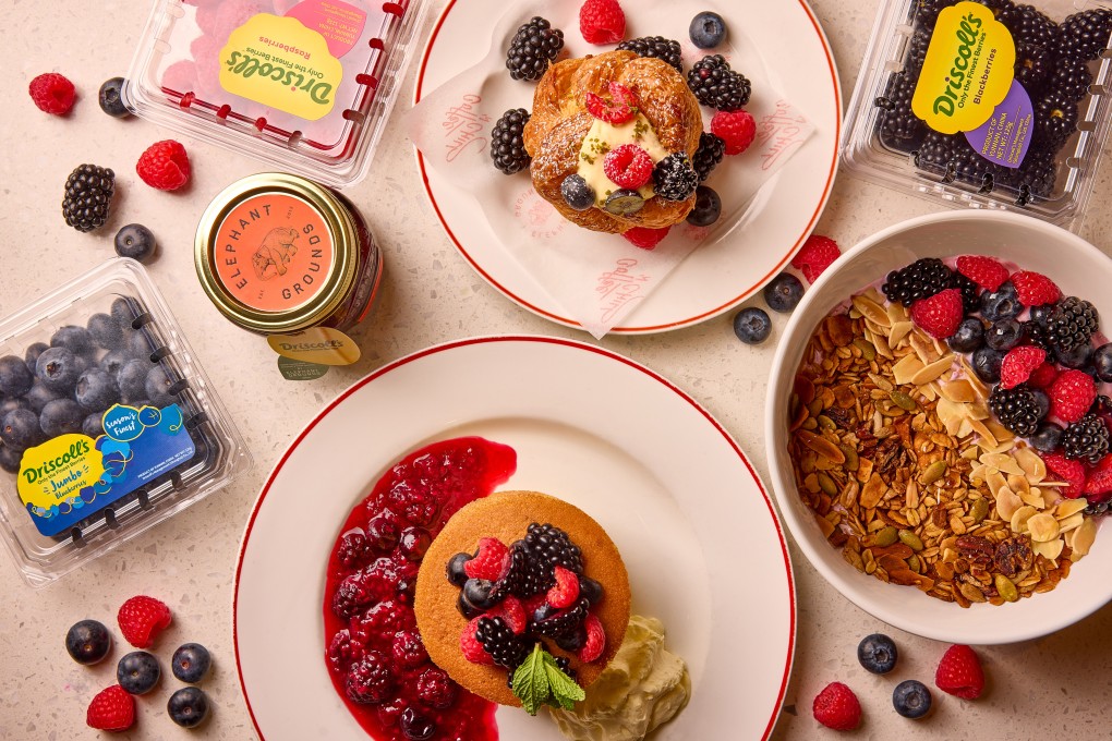 Driscoll’s x Elephant Grounds spring menu in Hong Kong. Photo: Handout