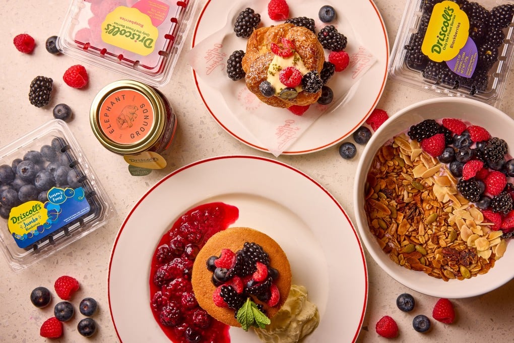 Driscoll’s x Elephant Grounds spring menu in Hong Kong. Photo: Handout