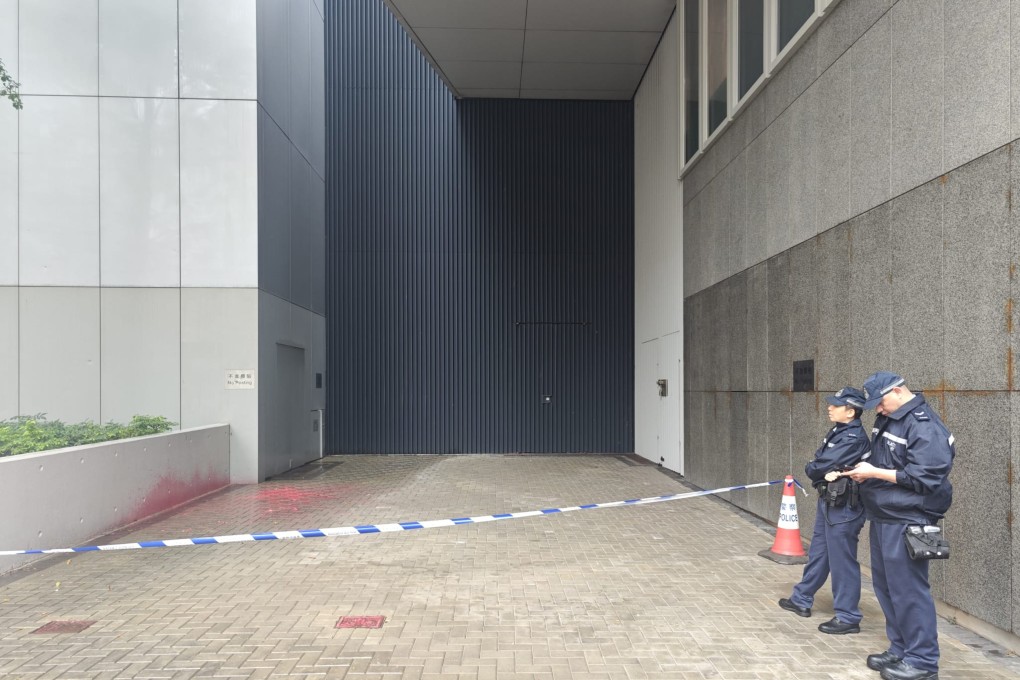 A woman has been jailed for seven months after splashing red paint on a roadside planter near the government headquarters. Photo: Handout