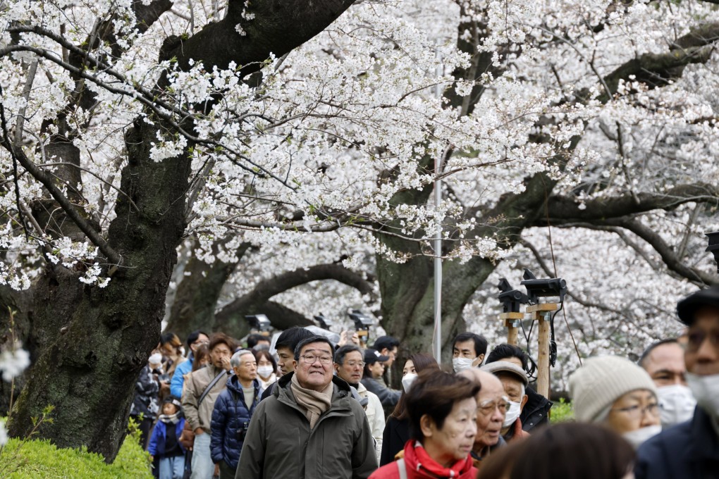 Visitors stroll beneath cherry blossoms in Tokyo. About 2.7 million Hongkongers visited Japan last year. Photo: EPA-EFE