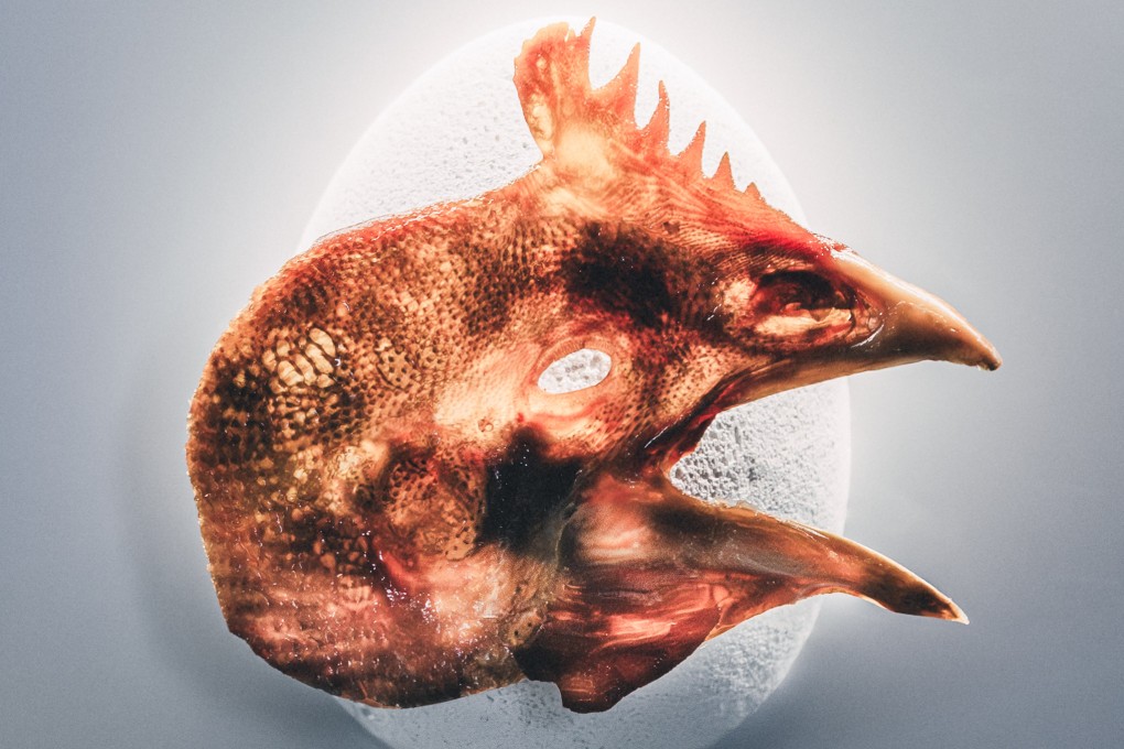 A flattened chicken head at Alchemist, in Copenhagen, Denmark, designed to be held by the beak and eaten in its entirety. Photo: courtesy Alchemist