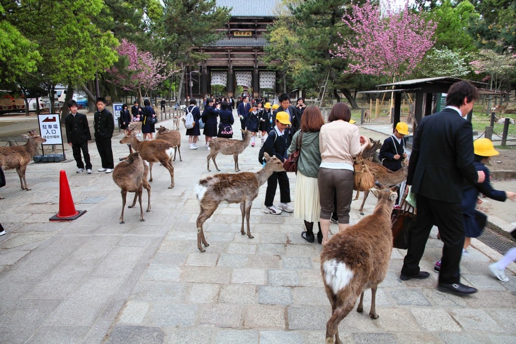 Tourists and deer at Todaiji Temple in Nara. Cases of deer abuse by visitors have led to more police patrols in the Japanese city. Photo: Shutterstock
