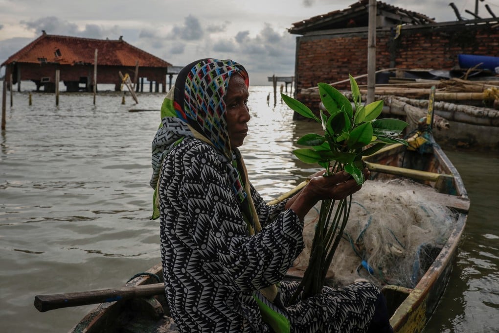 Pasijah, 55, holds mangrove seedlings as she sits in a boat in the submerged hamlet of Rejosari Senik, Demak regency, in Indonesia’s Central Java province, in February. Photo: Reuters