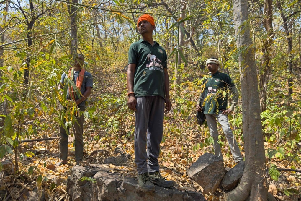 Elephant trackers from “friends of the elephant” team, listen for sounds to locate wild herd at a forest in Dhawalpur in India’s Chhattisgarh state in March. Photo: AFP