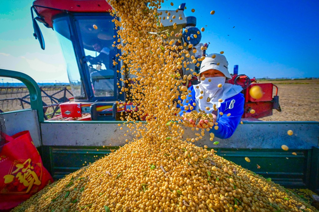 A Chinese farmer examines freshly harvested soybeans in Henan province. Soybean trade is among the most contentious battlefields in the US-China tariff war. Photo: Xinhua