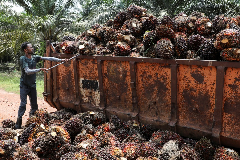 Palm oil is one of Malaysia’s biggest exports to Africa. Photo: Reuters