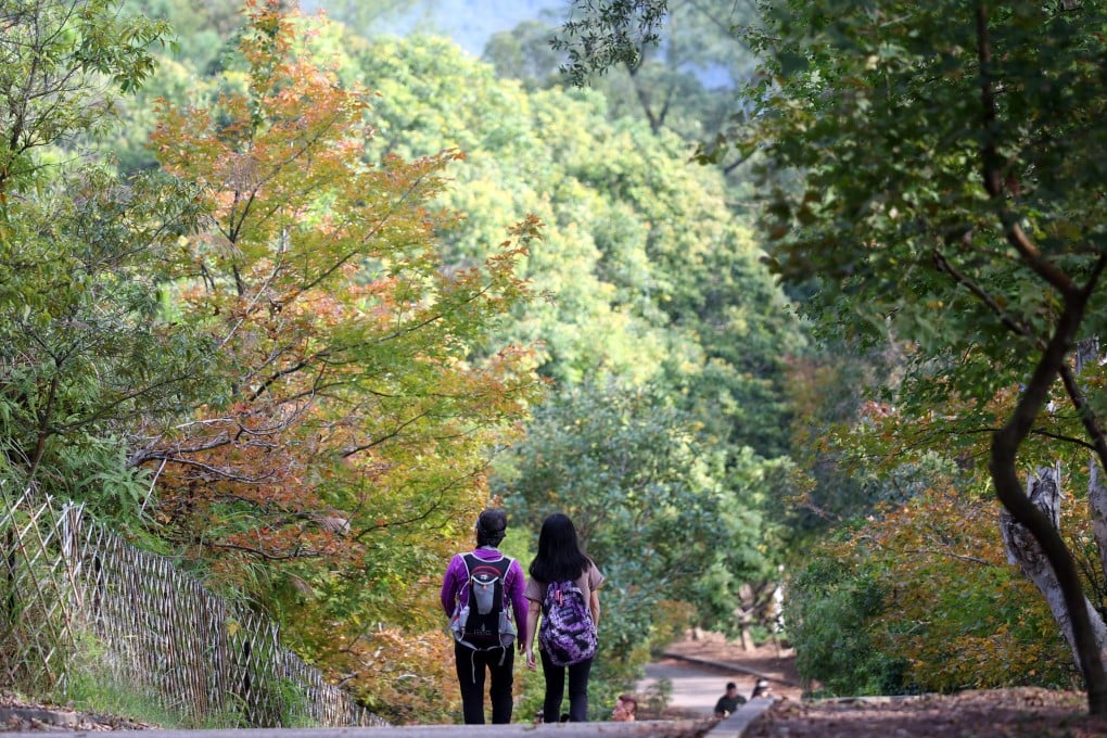 Woodlands make up a quarter of the city’s 111,900 hectares of land. Photo: Yik Yeung-man