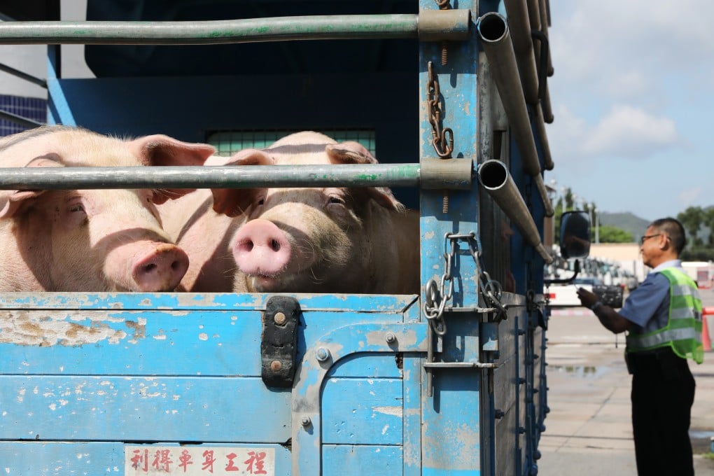 China has turned to countries besides the US for its pork supplies, cancelling import orders at a rapid pace. Photo: K.Y. Cheng