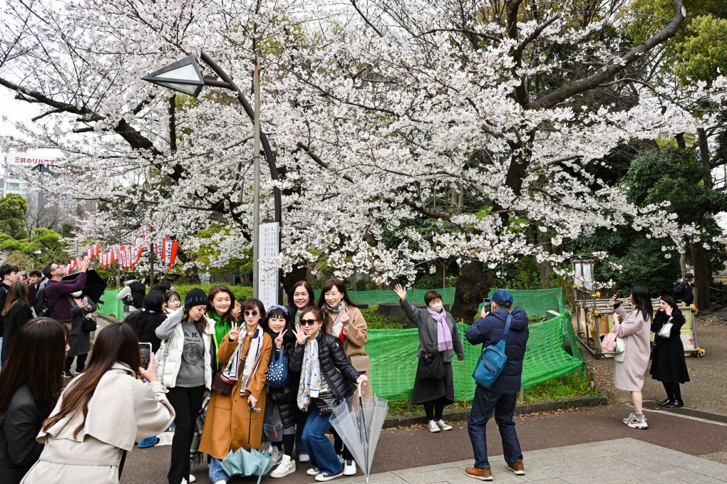 Tourists pose for pictures during the cherry blossom season at Ueno Park in Tokyo at the end of March. Photo: Getty Images