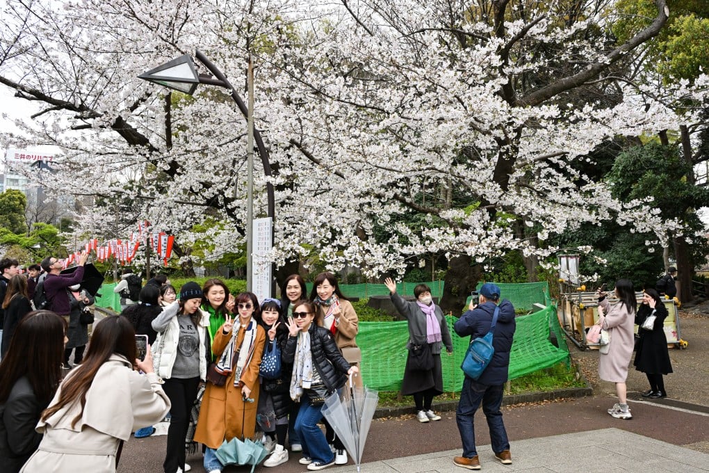 Tourists pose for pictures during the cherry blossom season at Ueno Park in Tokyo at the end of March. Photo: Getty Images