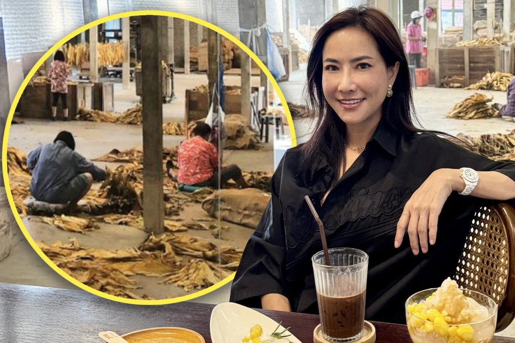 A politician in Thailand has been accused of promoting a “human zoo” after posting a photograph of herself online in which she is looking at factory workers on the job through a floor-to-ceiling café window. Photo: SCMP composite/Facebook/X